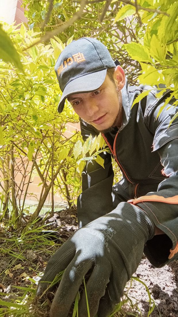 Mantenimiento de zonas verdes