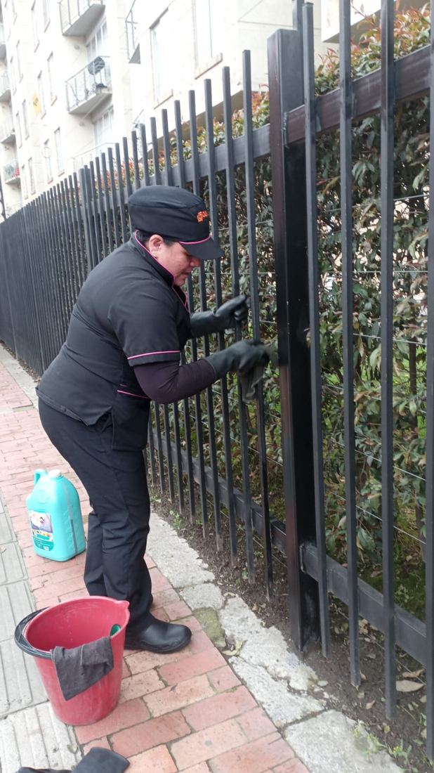 Limpieza de rejas y cerramientos
